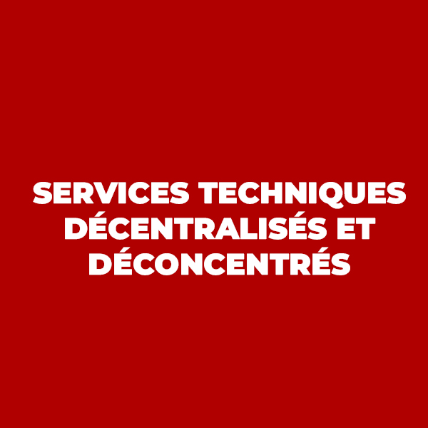 Services techniques décentralisés et déconcentrés